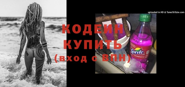 индика Нея