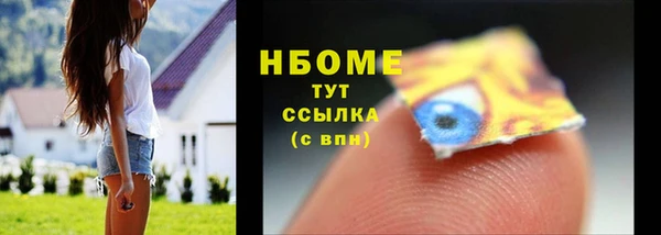 индика Нея