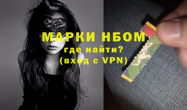 индика Нея
