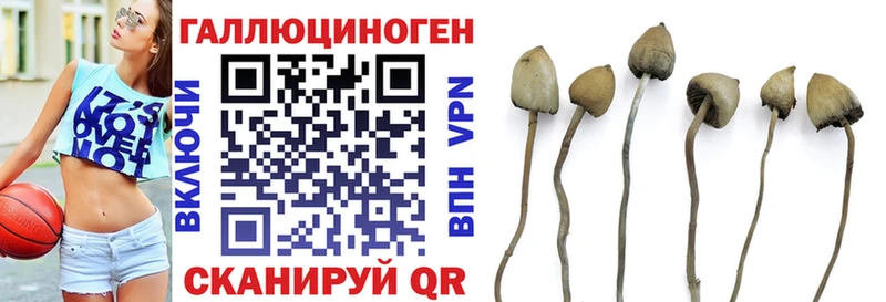 Галлюциногенные грибы GOLDEN TEACHER  darknet Telegram  Инта 